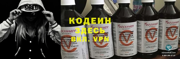мяу мяу мука Абаза