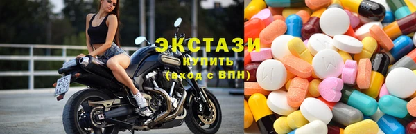индика Алзамай