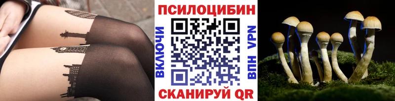 где продают Батайск Галлюциногенные грибы MAGIC MUSHROOMS